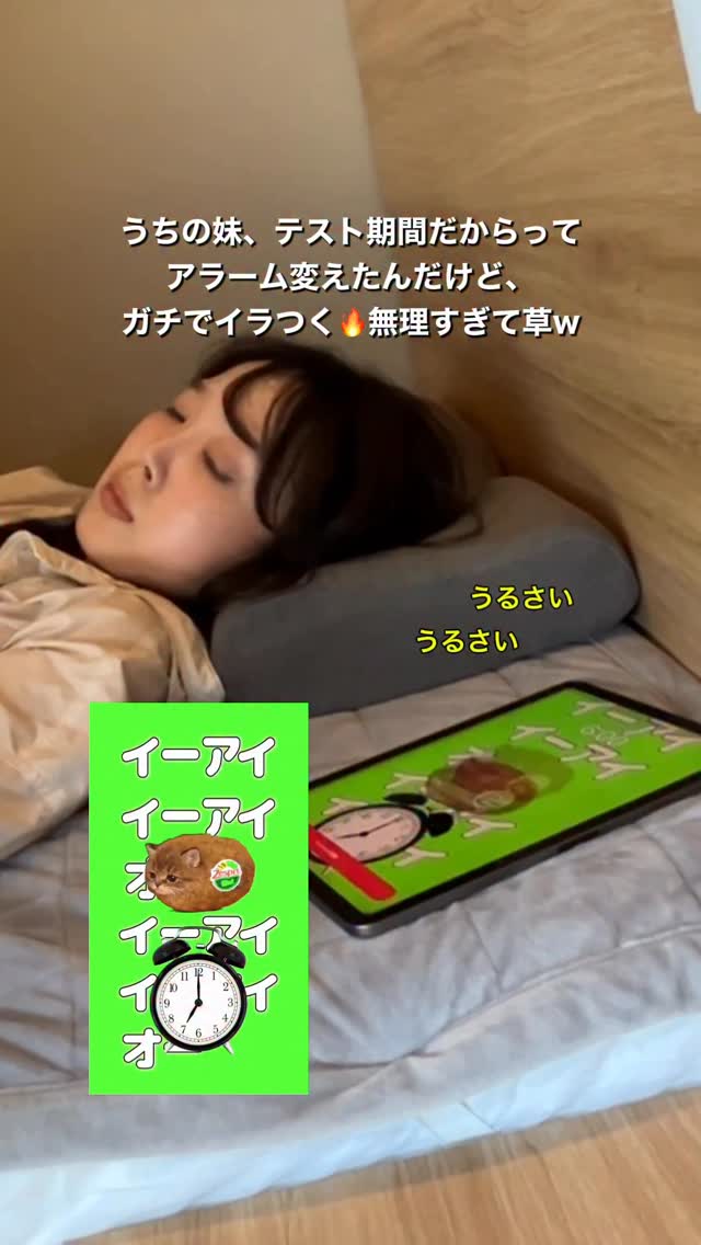 試験期間に妹が使うアラーム サムネイル